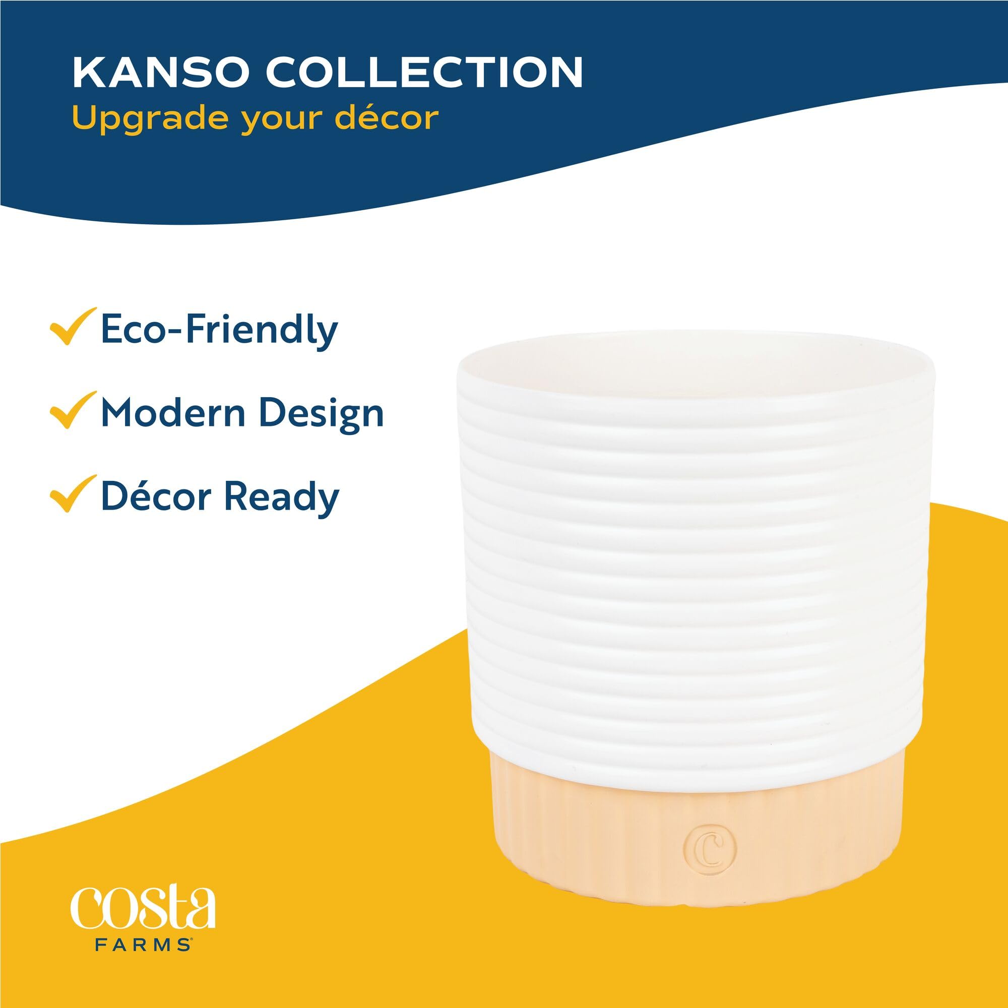 Costa Farms ZZ Live Plant in Decorative Pot, Easy to Maintain, Air Purifying Indoor Houseplant, Perfect for Home, Room, or Office Decor, Great House Warming or Birthday Gift, 12-20 Inches Tall