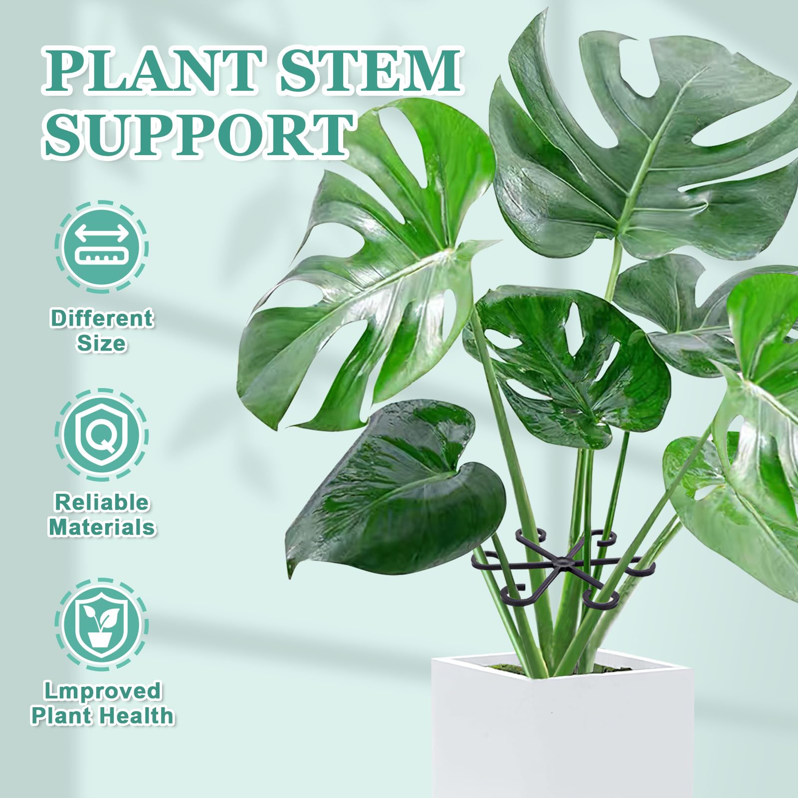 GLCSC 8pcs Plant Stem Support, Plant Support for Indoor Plants, Plastic Reusable Plant Stabilizer, Indoor Plants Accessories