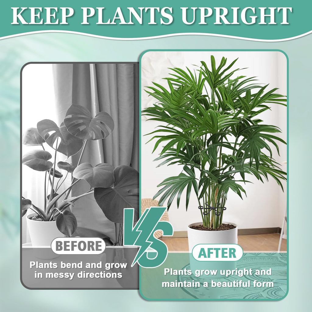 GLCSC 8pcs Plant Stem Support, Plant Support for Indoor Plants, Plastic Reusable Plant Stabilizer, Indoor Plants Accessories