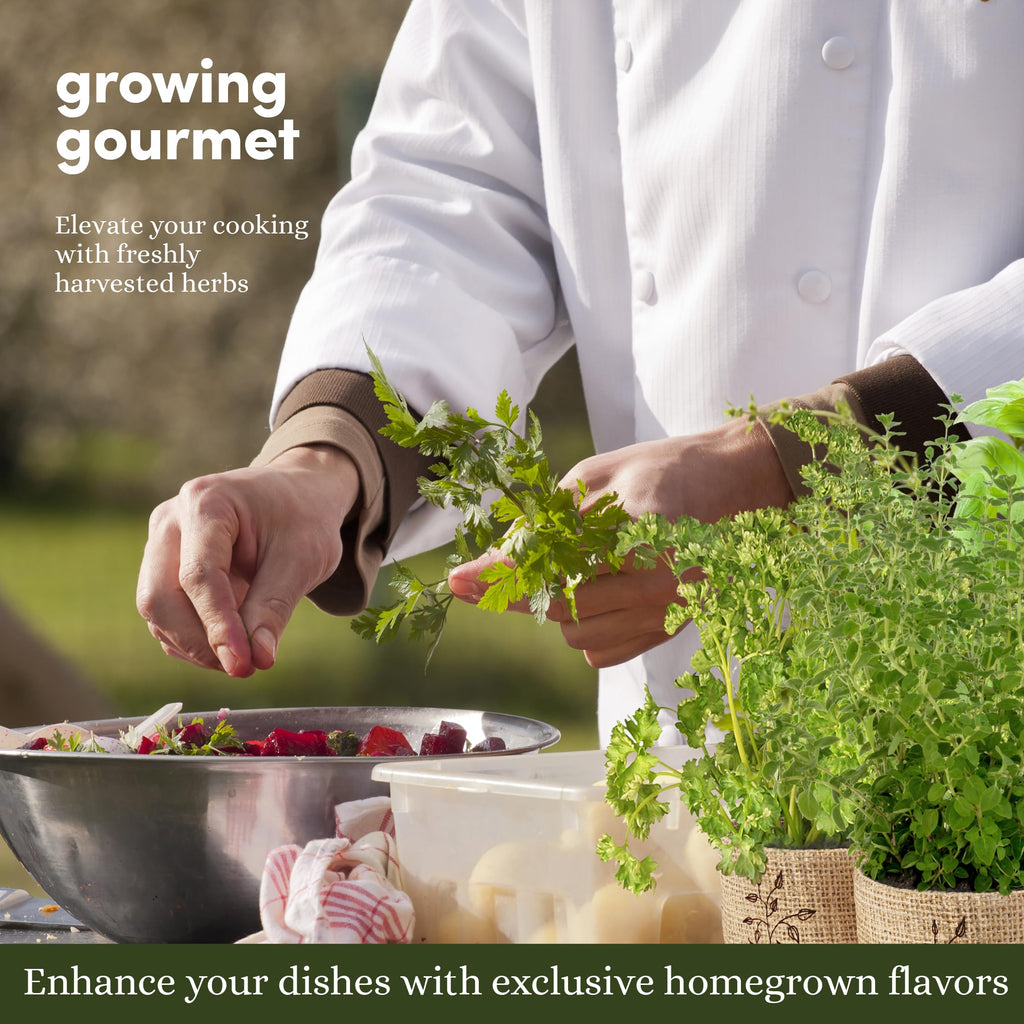 Planters' Choice 9 Herb Indoor Window Garden Kit - House Plants Seeds - Best Unique Easter Gift Ideas for Women, Mom, Friend, Her, Birthday, Housewarming, Mother - New Home Kitchen Gifts