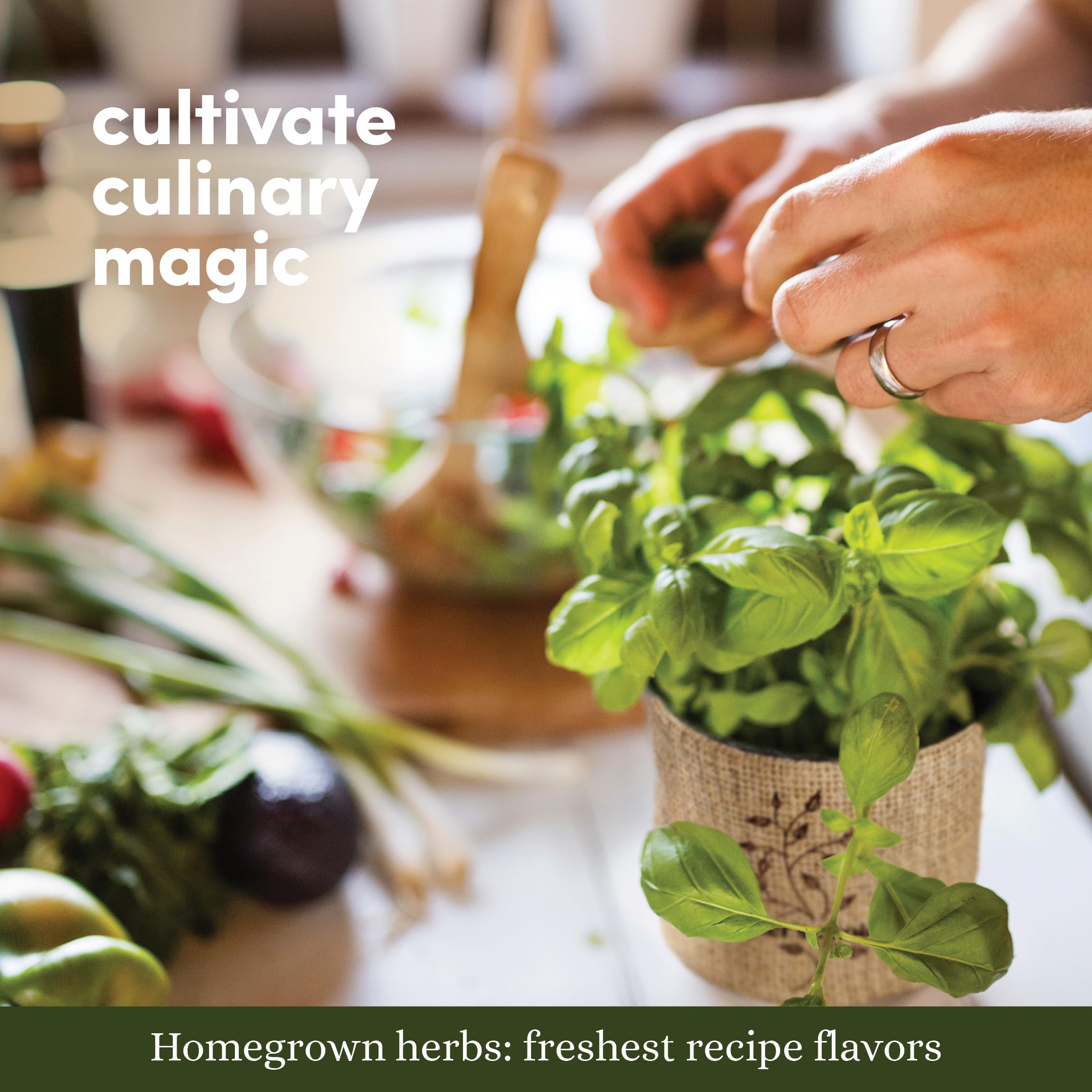 Planters' Choice 9 Herb Indoor Window Garden Kit - House Plants Seeds - Best Unique Easter Gift Ideas for Women, Mom, Friend, Her, Birthday, Housewarming, Mother - New Home Kitchen Gifts