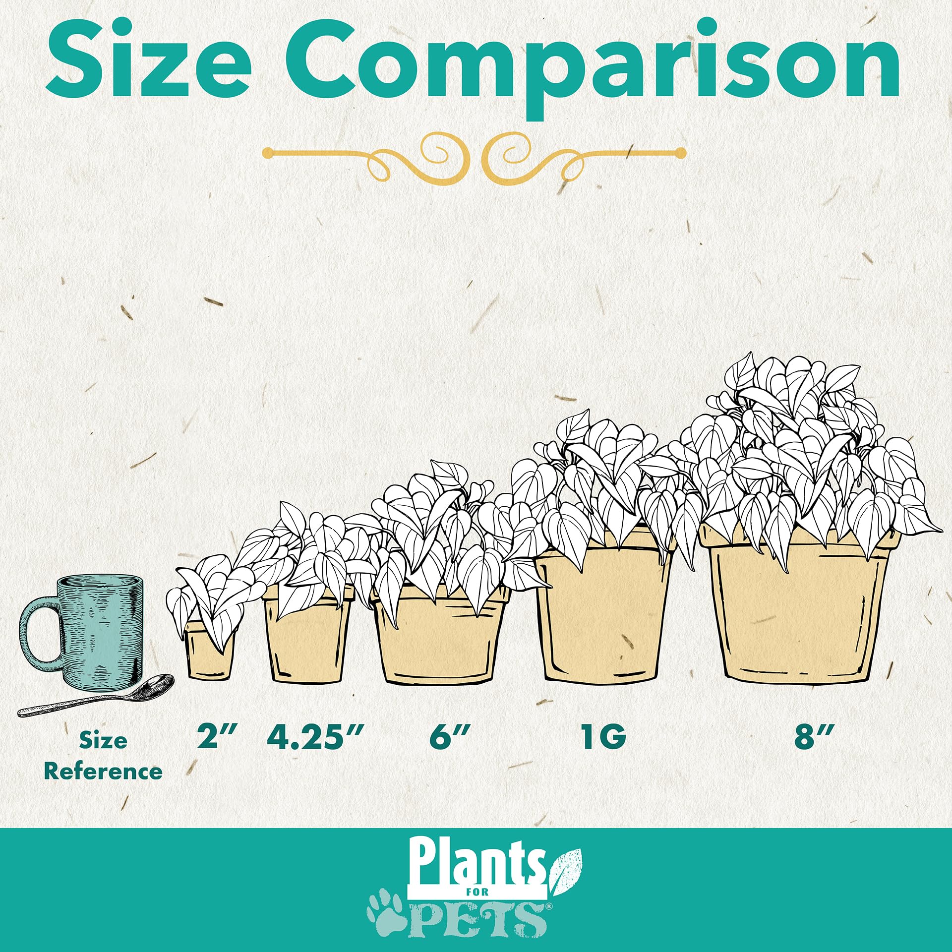 Live Pothos Plants (4PK) Indoor Plants Live Houseplants, Pothos Live Plant House Plants, Money Plant Indoor Pothos Plant Decor, Devils Ivy Trailing Plants Live by Plants for Pets,Black